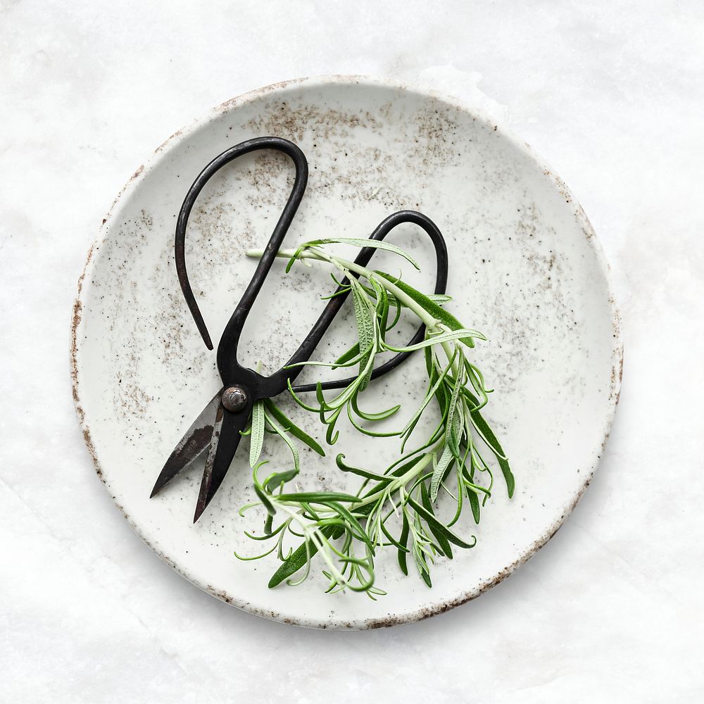 Rosemary leaves flat lay food photography