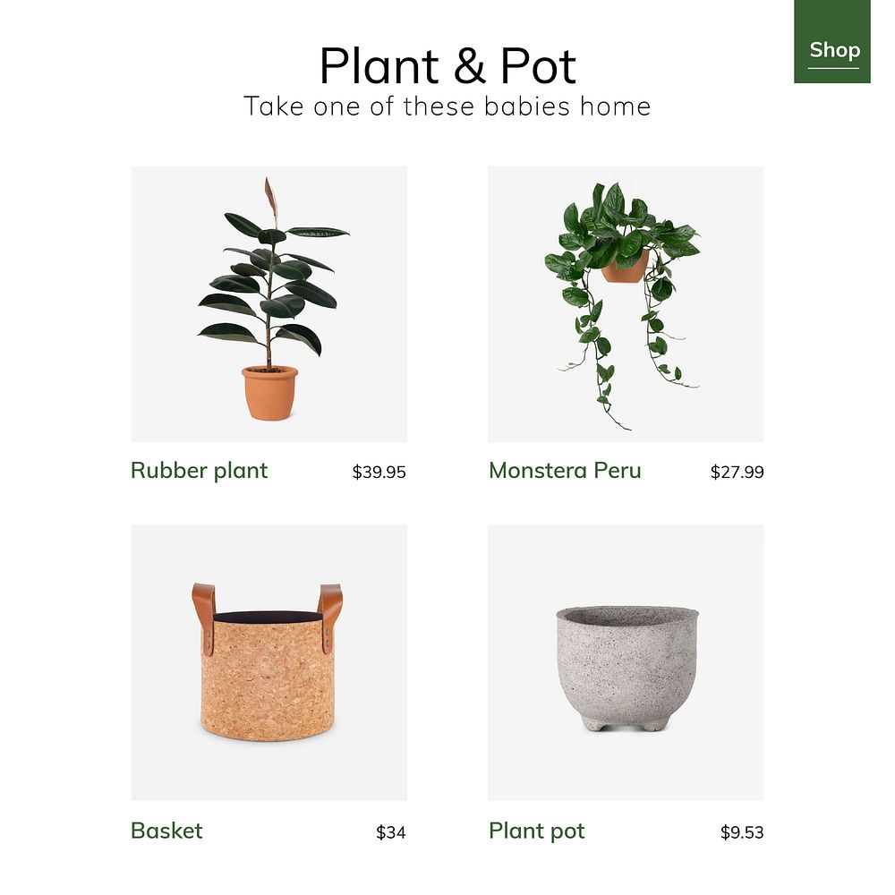 Plant and pot template vector for social media ad