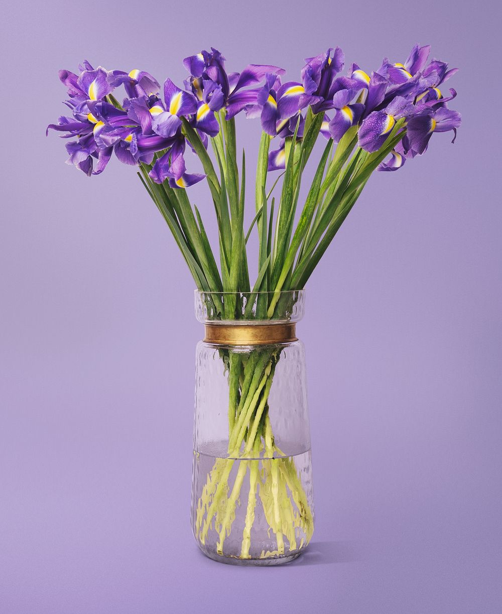 Purple iris in glass vase, isolated object design psd