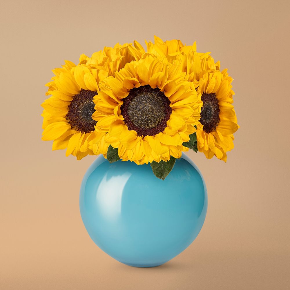 Sunflowers in blue vase, isolated object design psd