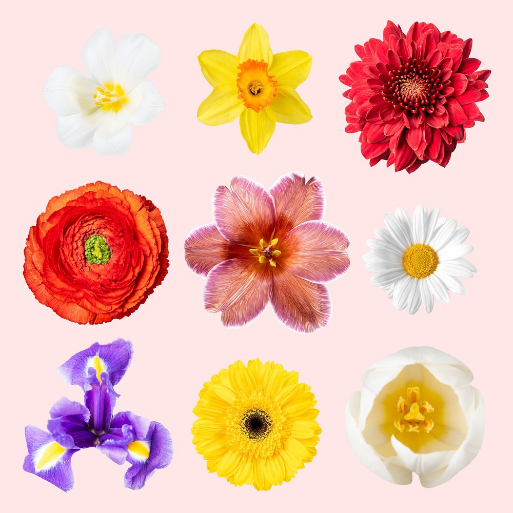 Spring flowers ,collage element psd