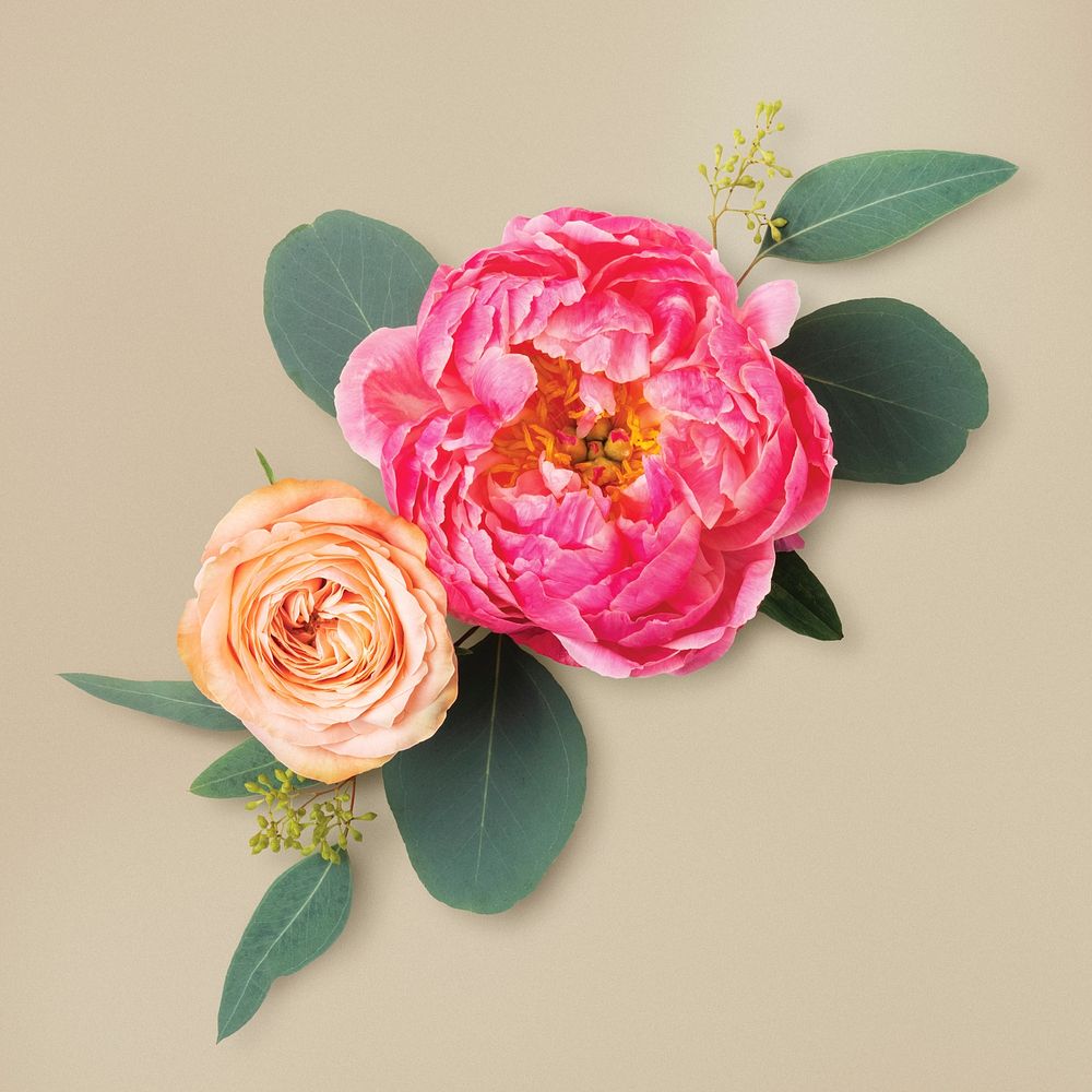 Pink peony, collage element psd