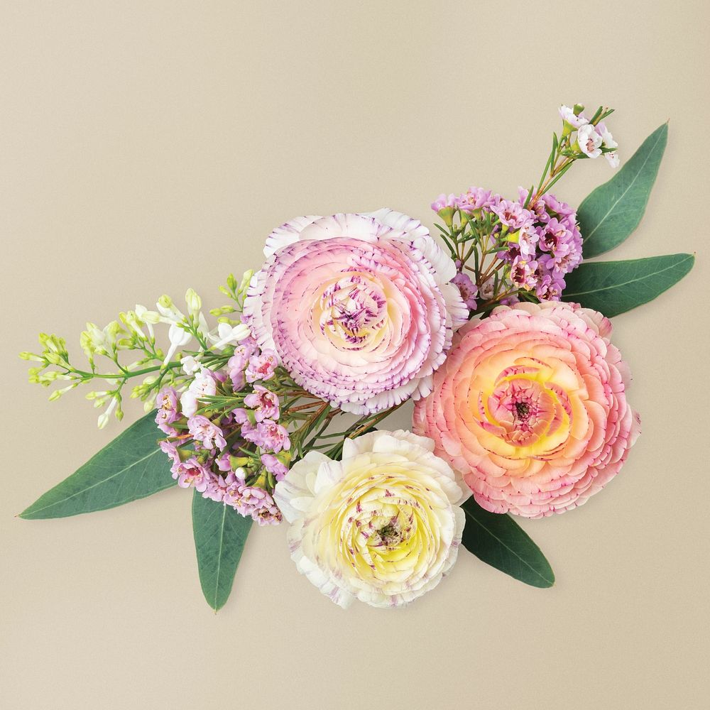 Ranunculus bouquet, collage element psd