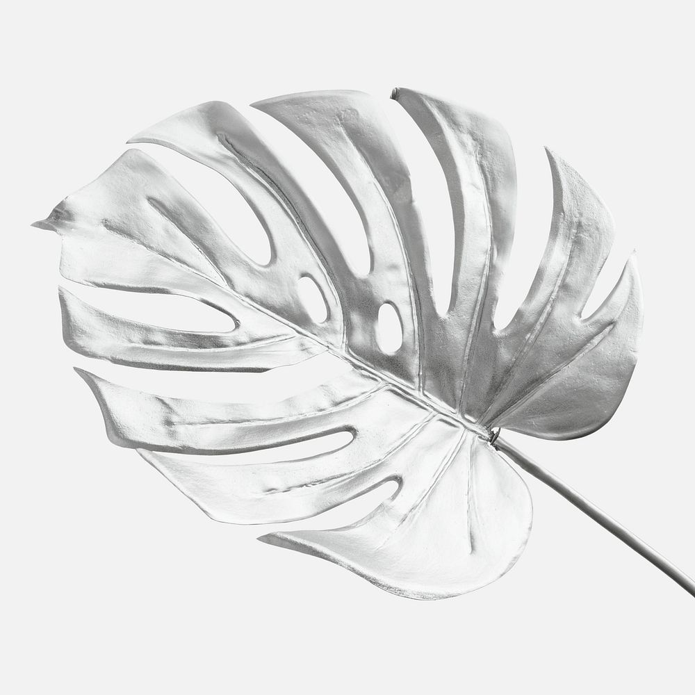 Monstera leaf painted in silver on an off white background