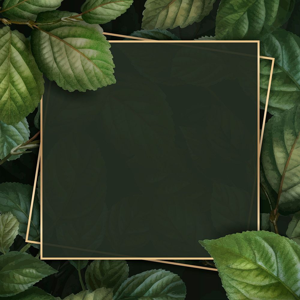 Gold frame on foliage pattern background vector template