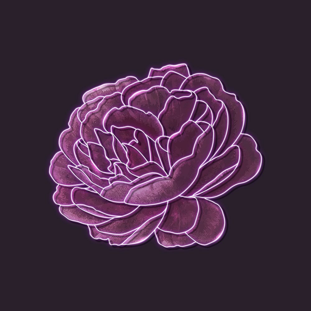 Purple neon rose on a black background mockup