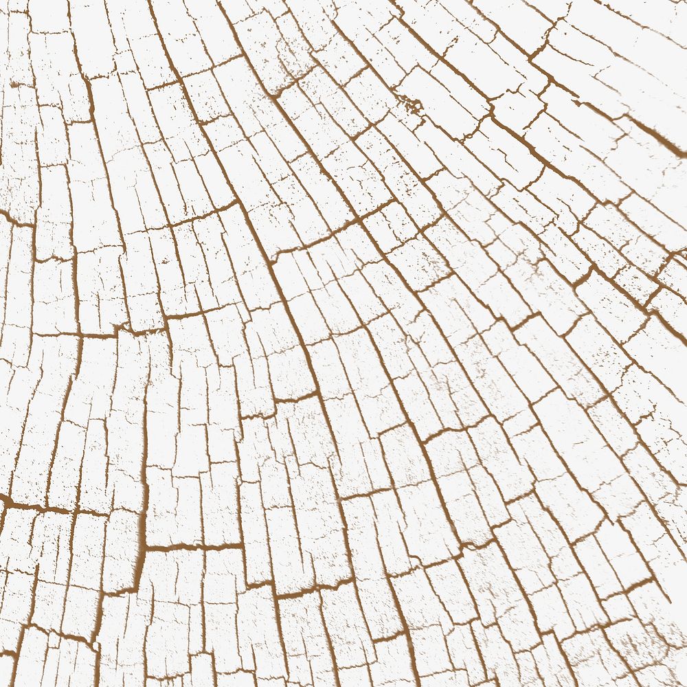 Bleached tree rings textured design background