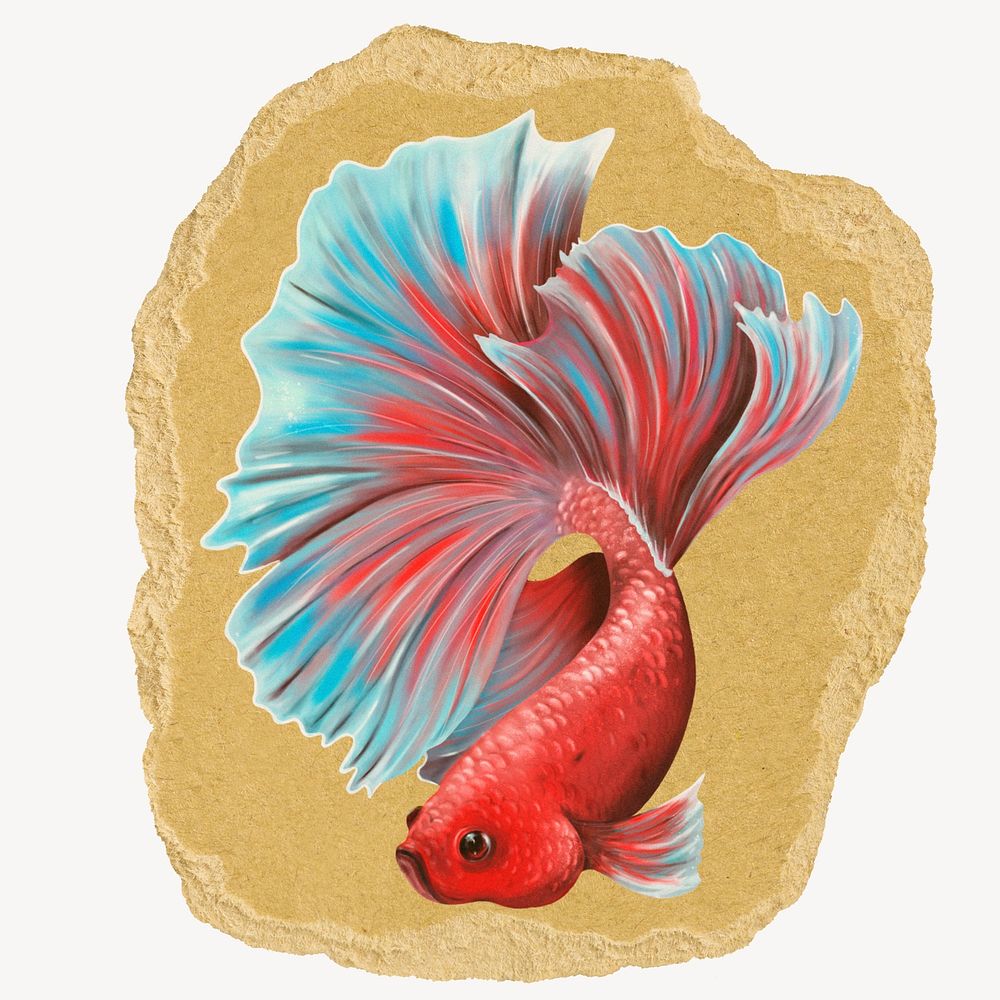 Siamese fighting fish, ripped paper collage element
