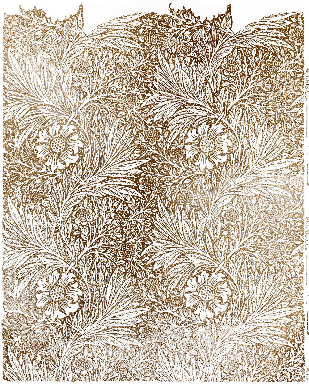 Marigold wallpaper vintage design, remix from original artwork by William Morris