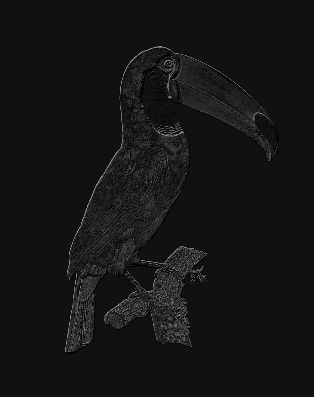 Embossed Toco toucan vintage vector, remix from original artwork.