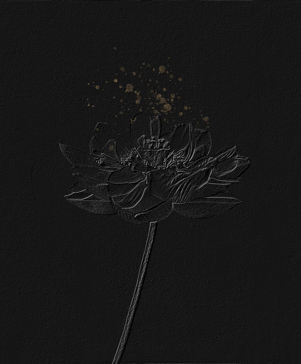 Lotus flowers artwork design, remix from original photography by Ogawa Kazumasa.