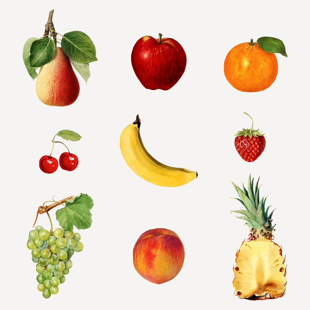 Hand drawn mixed tropical fruits on a gray background vector