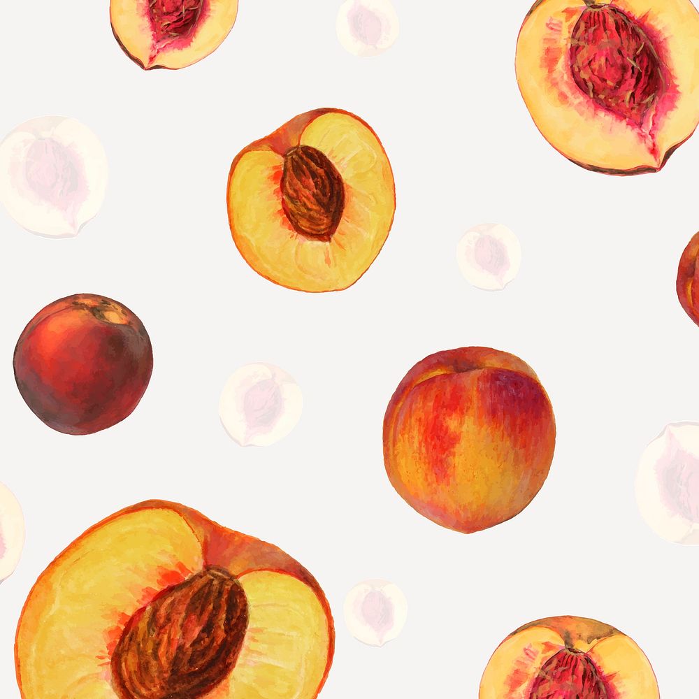 Hand drawn natural fresh peach patterned background vector
