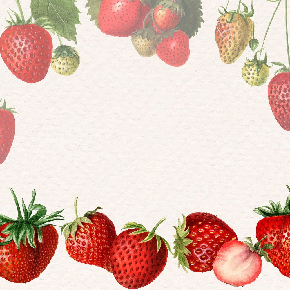 Hand drawn natural fresh strawberry frame vector