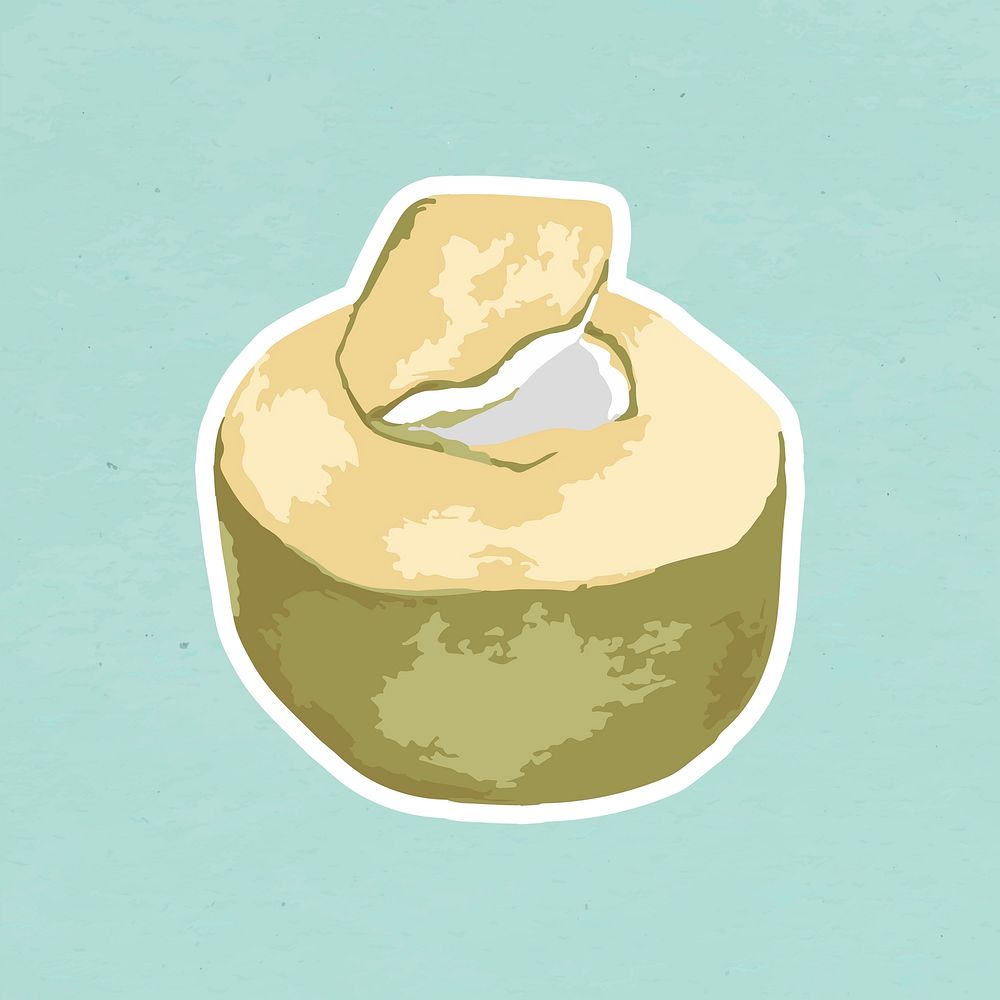 Vectorized coconut fruit sticker with a white border