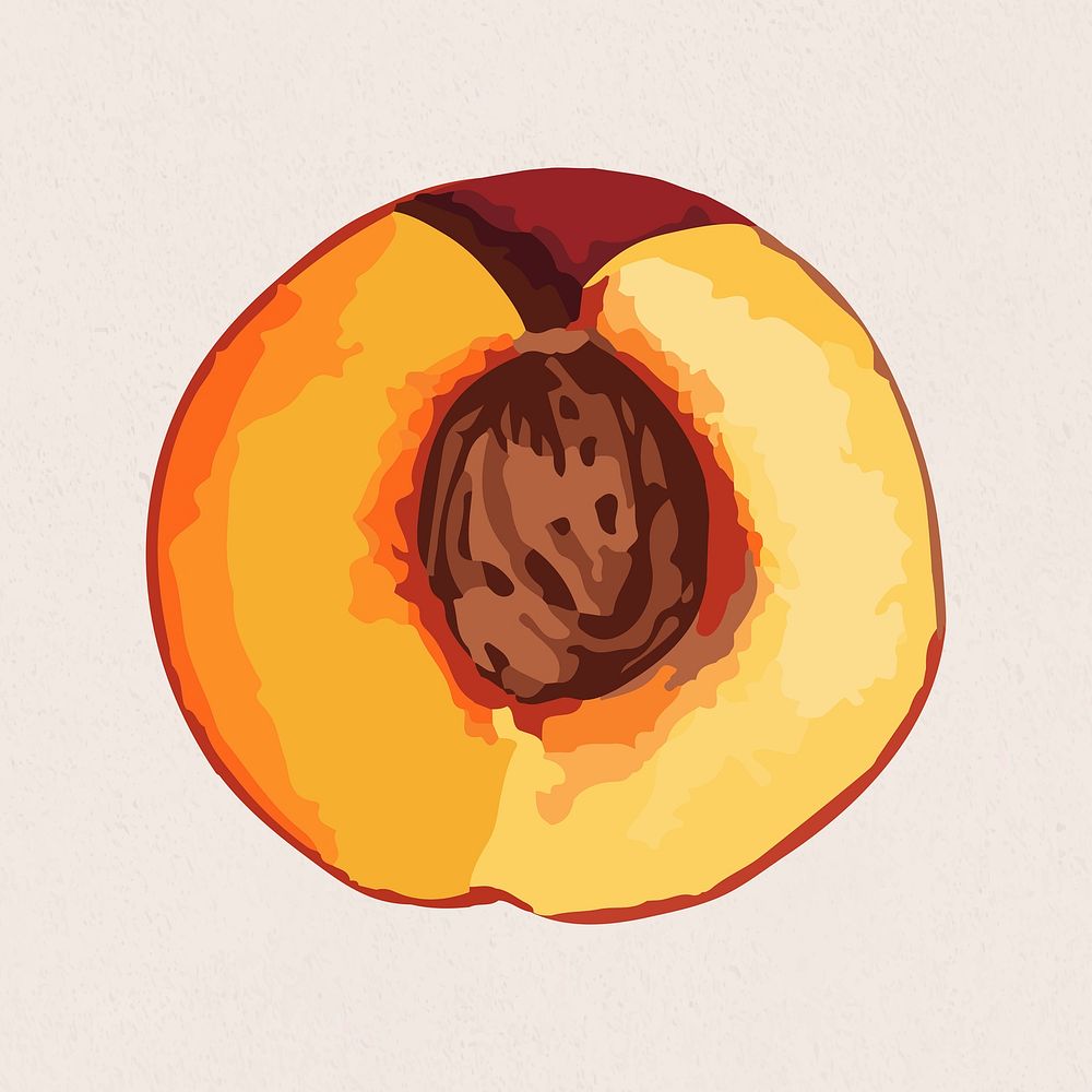 Hand drawn vectorized apricot sticker