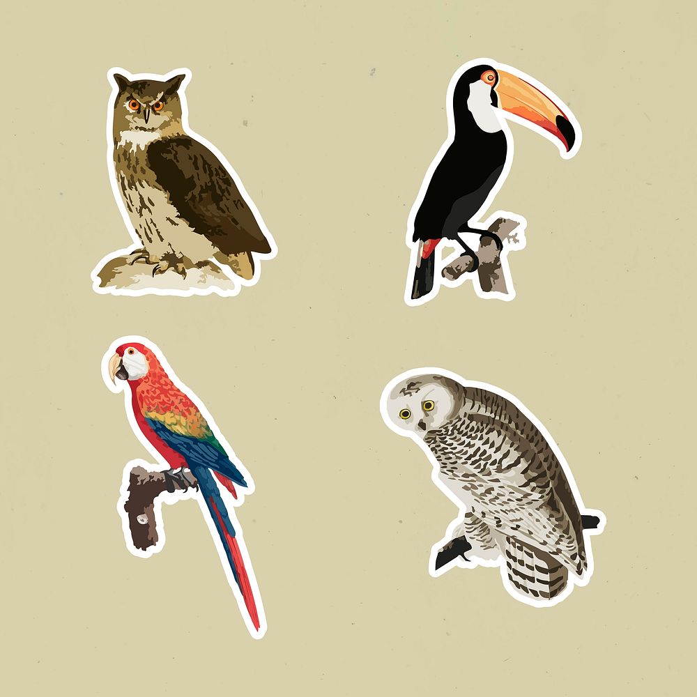 Vectorized mix vintage birds sticker with a white border