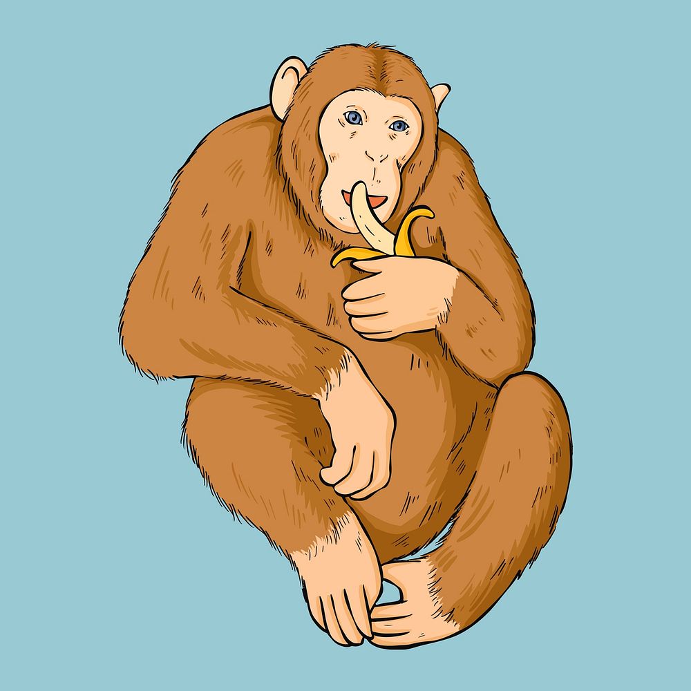 Vector vintage hand drawn monkey cartoon clipart