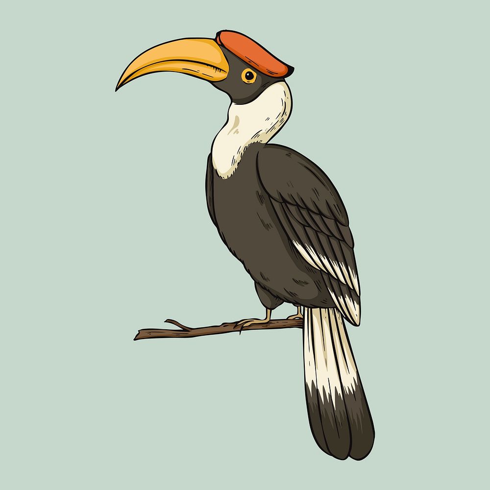 Vintage hand drawn hornbill cartoon clipart