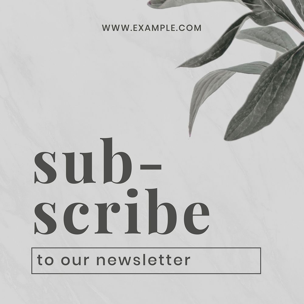 Business subscribe newsletter banner design template vector