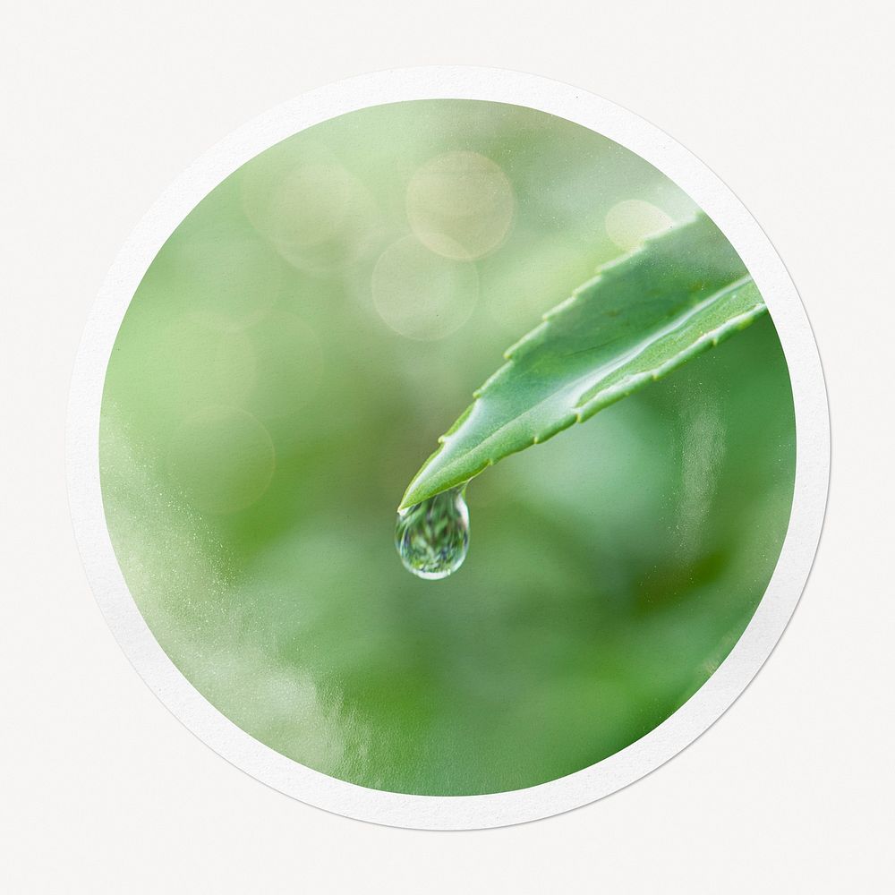 Water drop leaf in circle frame, nature image