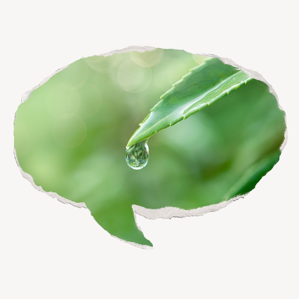 Water drop leaf, ripped paper speech bubble, nature image