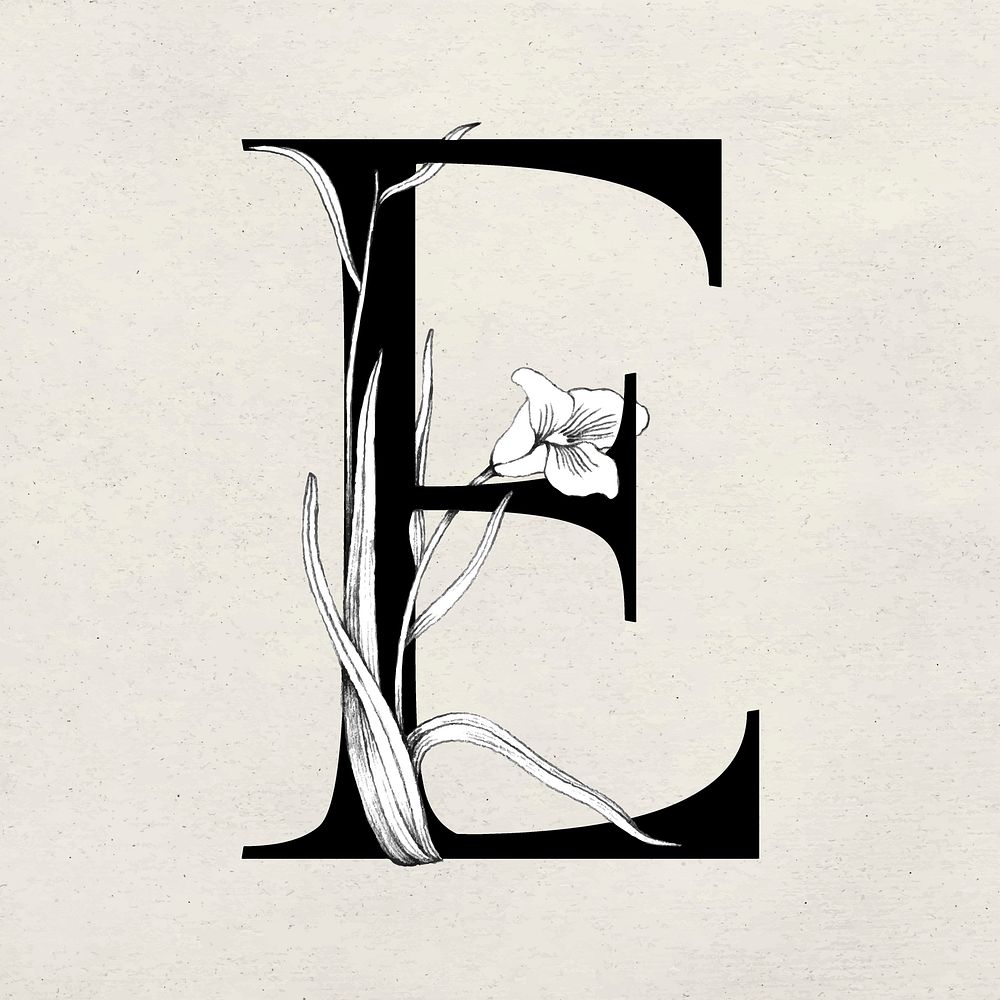 Vector font e letter watercolor typeface