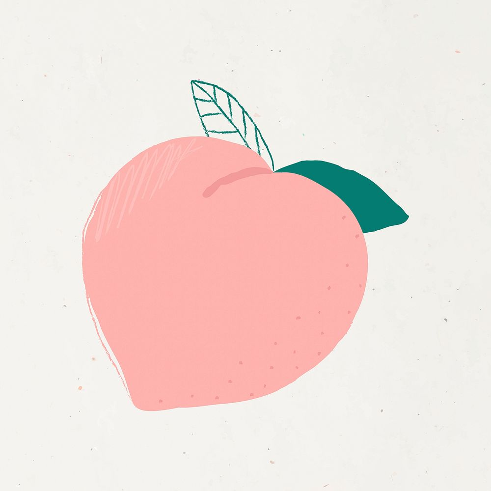 Pastel hand drawn peach fruit clipart