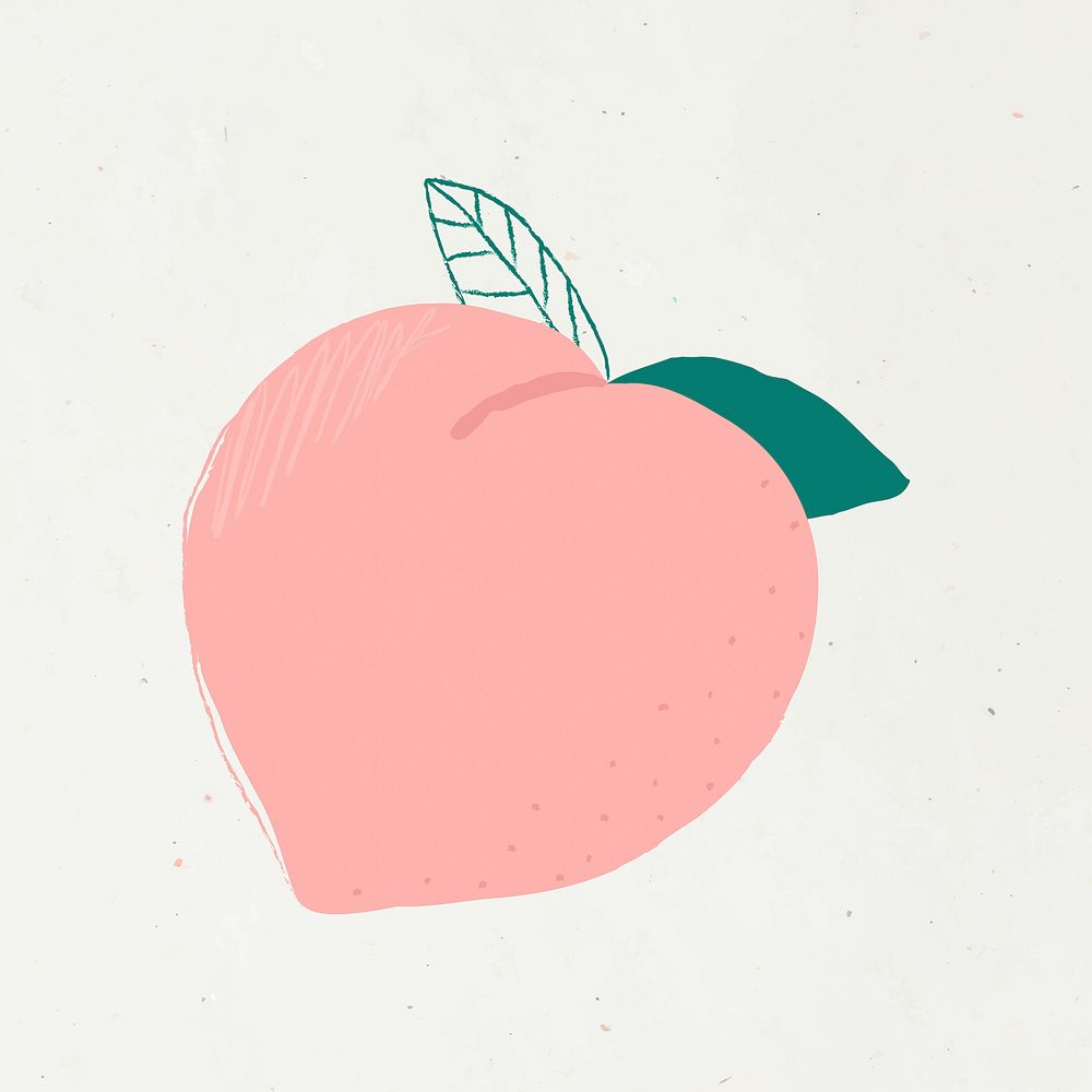 Vector hand drawn peach fruit illustration