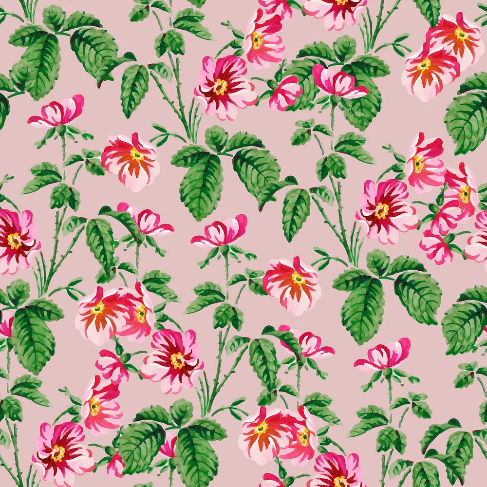 Vector colorful wild rose flower pattern vintage  background