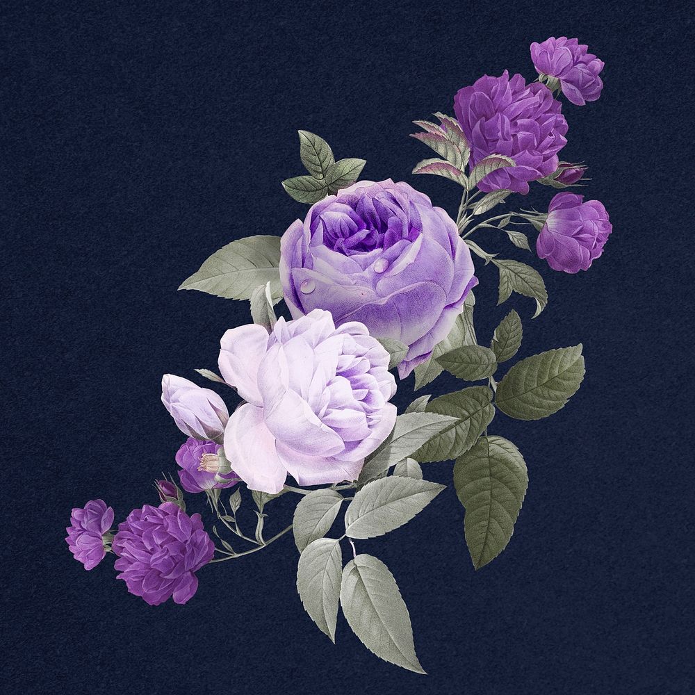 Elegant psd purple roses flowers bouquet illustration