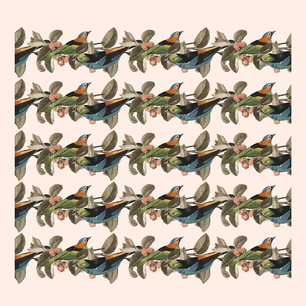 Editable birds pattern brush vector compatible with ai