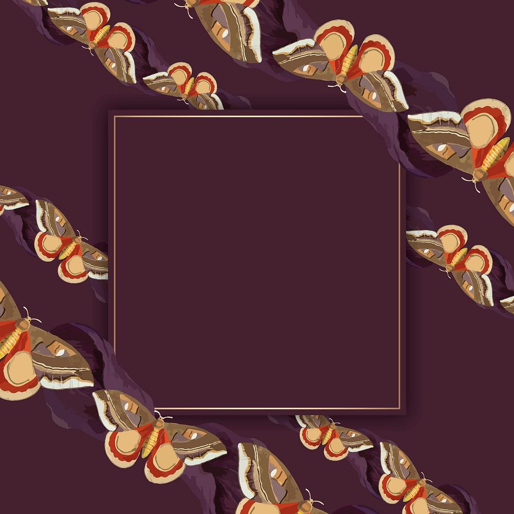 Vintage butterfly pattern frame vector, remix from The Naturalist's Miscellany by George Shaw