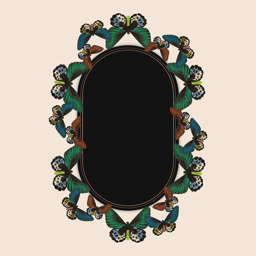 Vintage green butterfly pattern vector frame, remix from The Naturalist's Miscellany by George Shaw