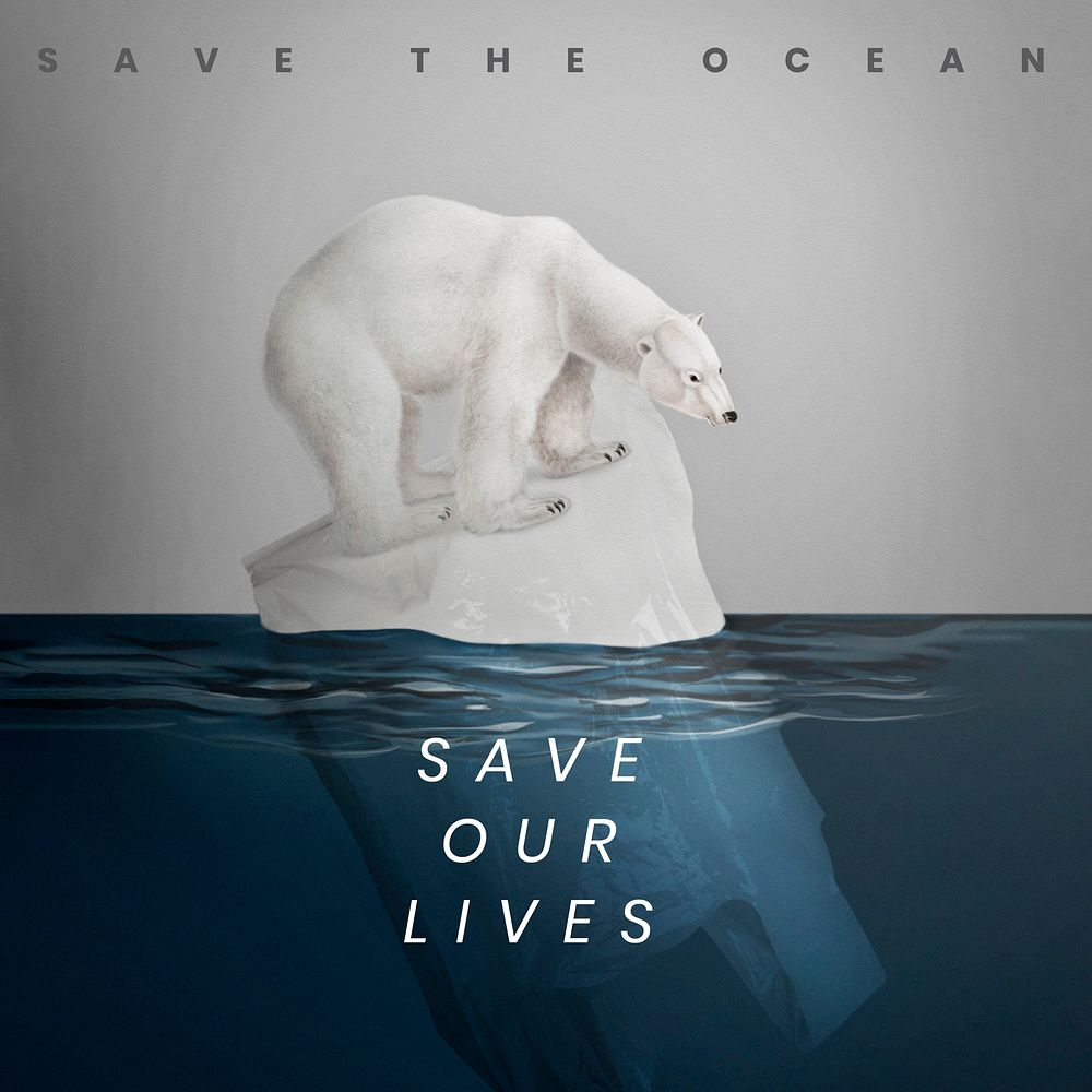 Save the ocean template vector polar bear climate change campaign social media post