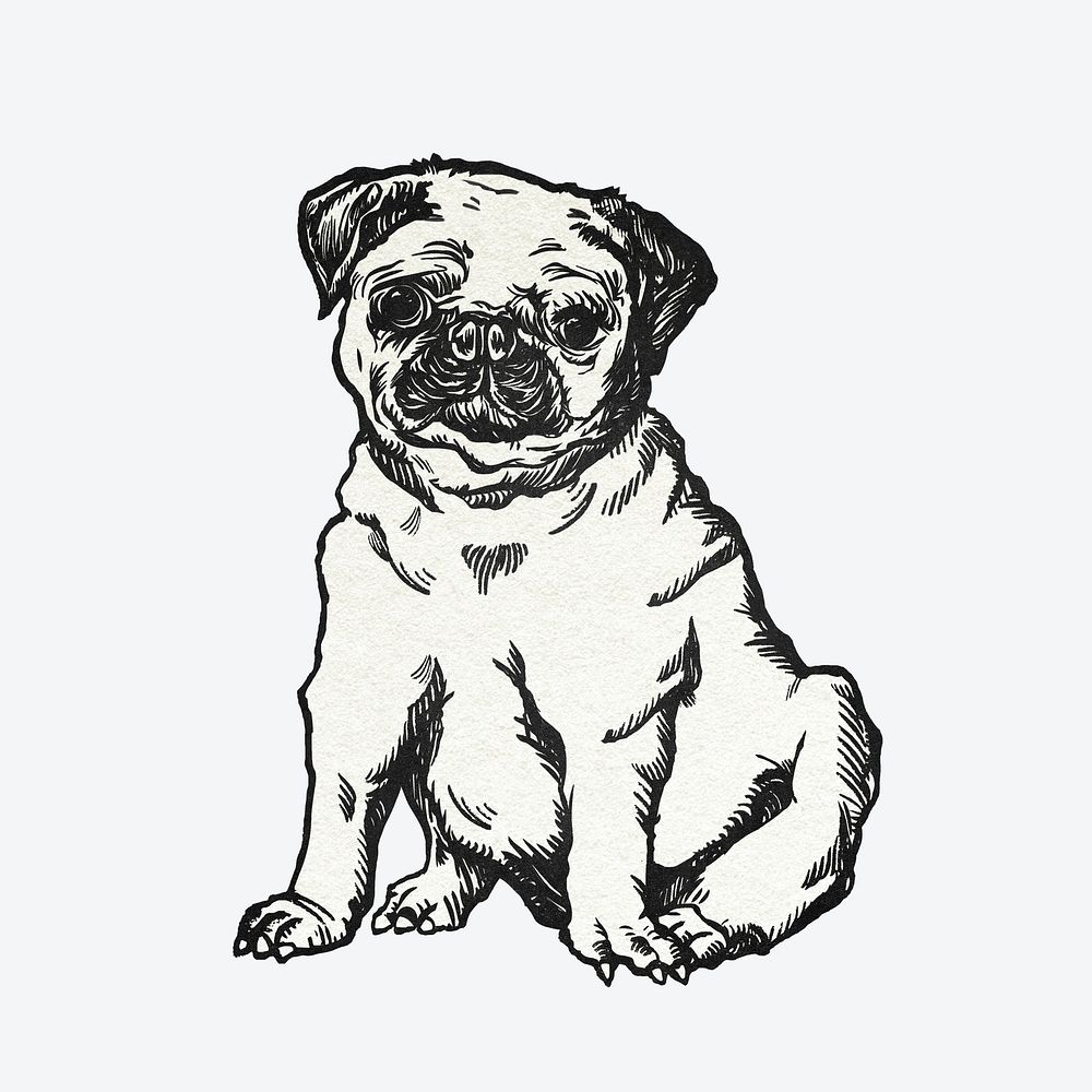 Cute pug dog sticker psd vintage illustration