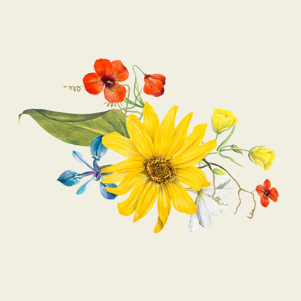 Vintage summer flower vector illustration, remixed from public domain artworks