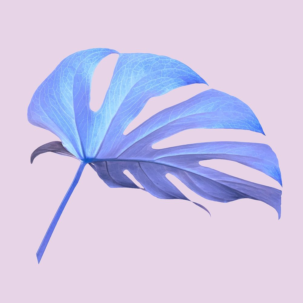 Purple monstera leaf vector illustration