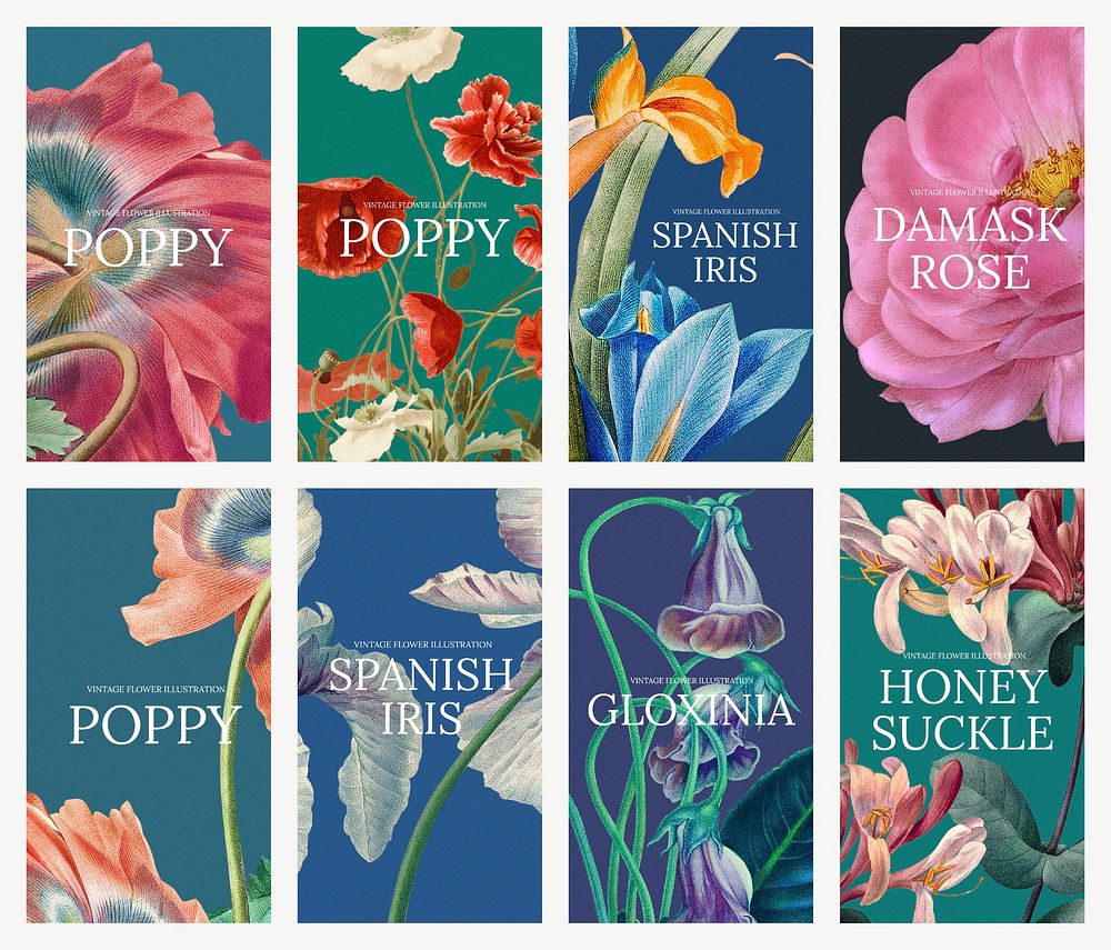 Floral template vector illustration set, remixed from public domain artworks