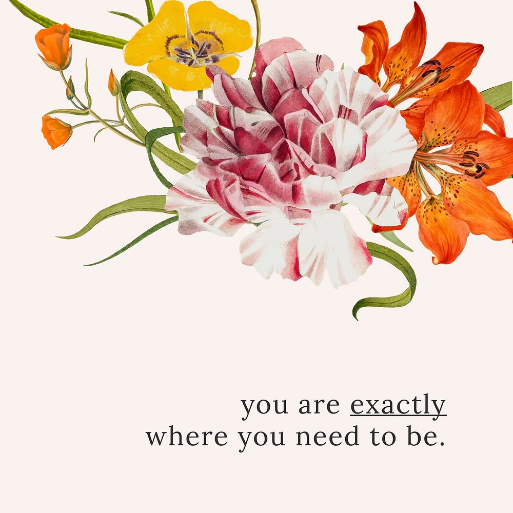 Floral quote template vector illustration with you are exactly where you need to be text, remixed from public domain artworks