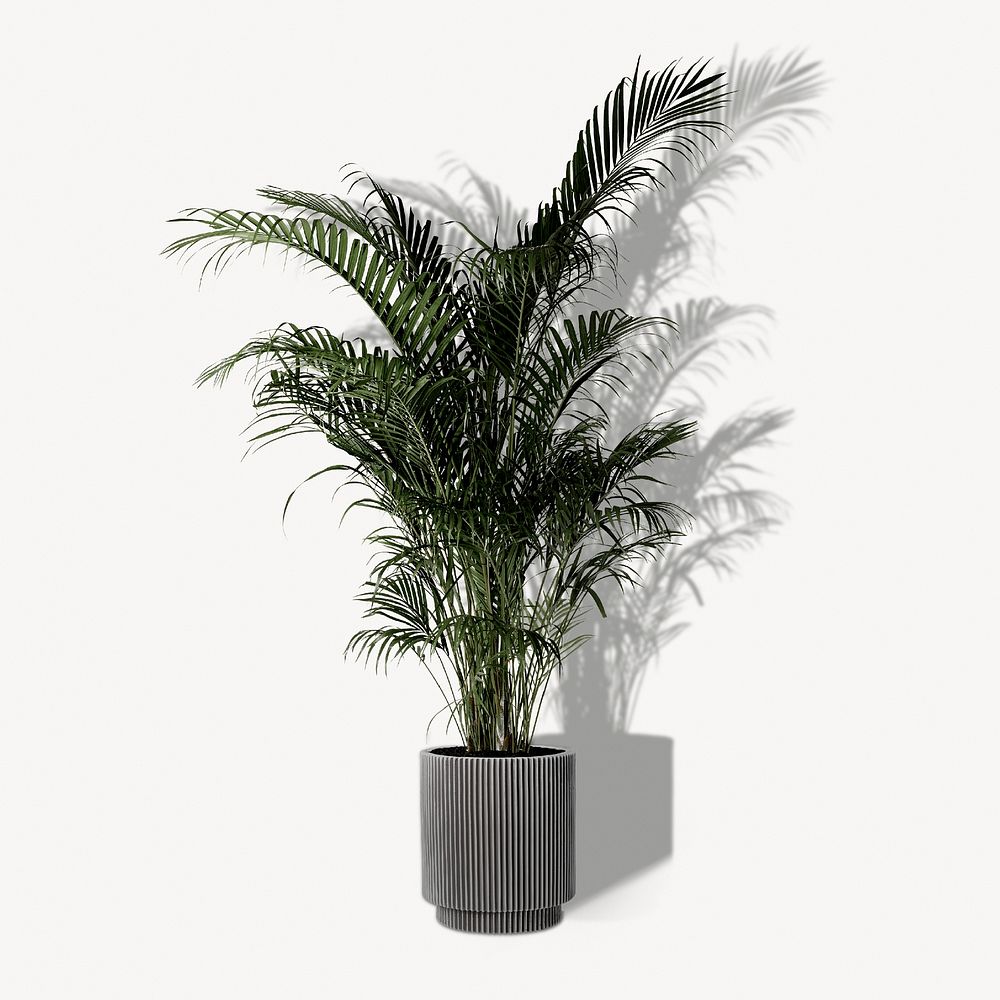 Palm tree in gray pot, decorative houseplant collage element psd