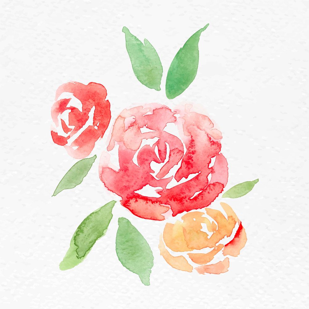 Pink rose flower watercolor vector spring seasonal graphic