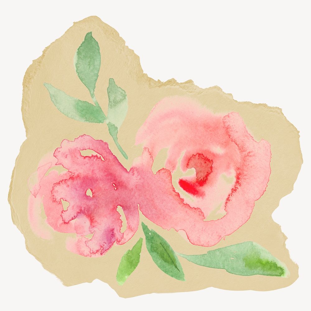 Watercolor rose flower, ripped paper collage element