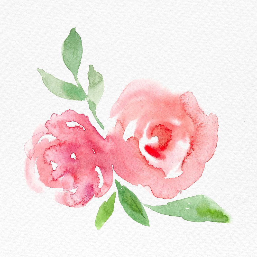 Pink rose flower watercolor psd spring seasonal graphic