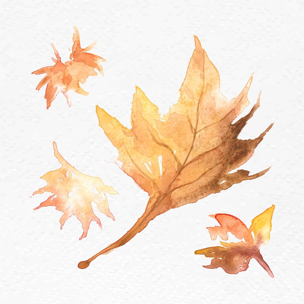 Maple leaf autumn watercolor vector in orange seasonal graphic