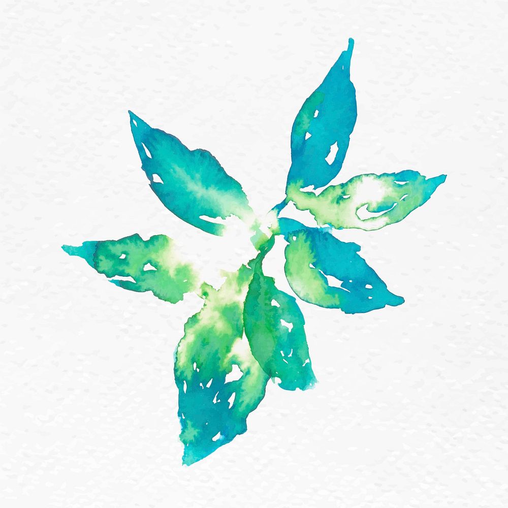 Watercolor leaf green floral vector spring seasonal graphic