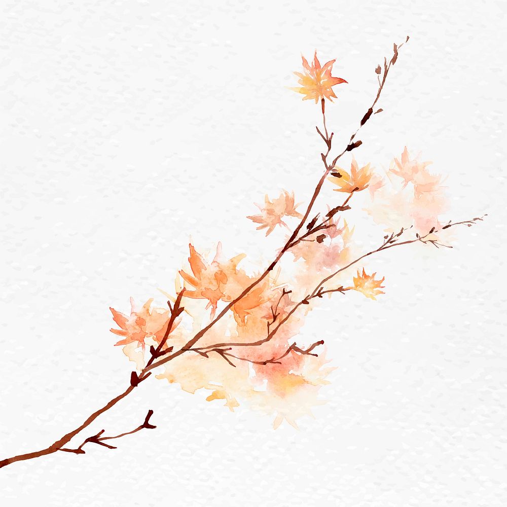 Maple branch autumn watercolor vector in orange seasonal graphic