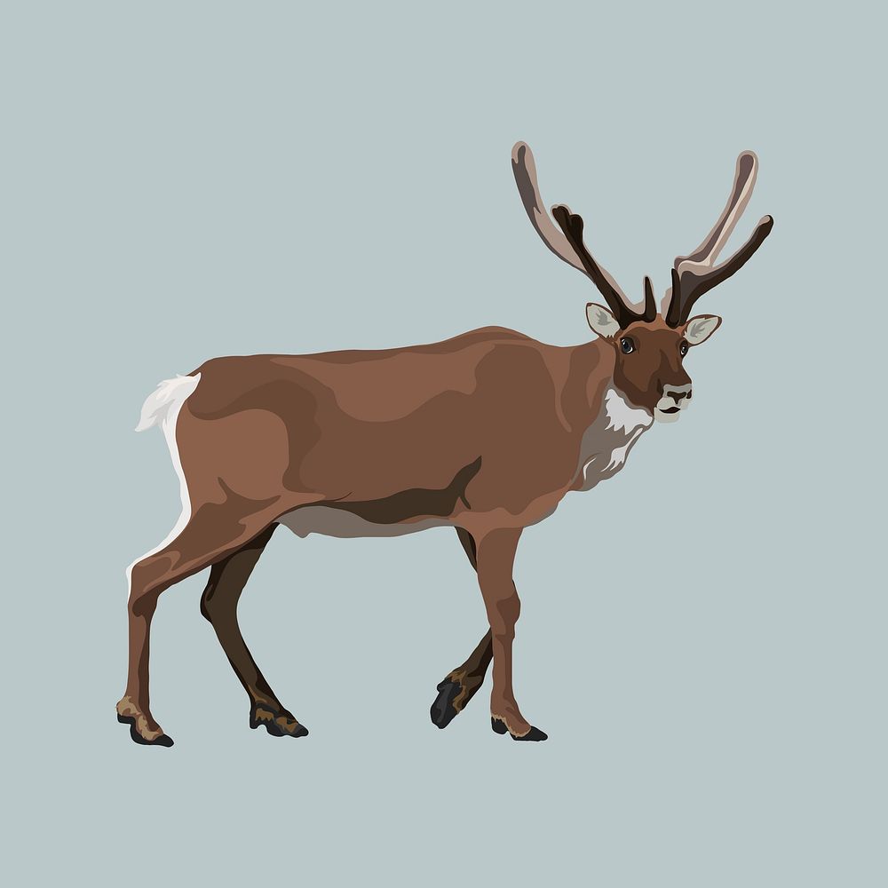 Elk illustration clipart, wild animal psd