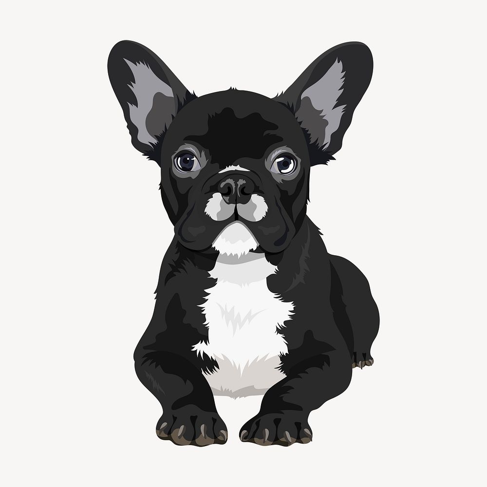 French bulldog, puppy illustration psd
