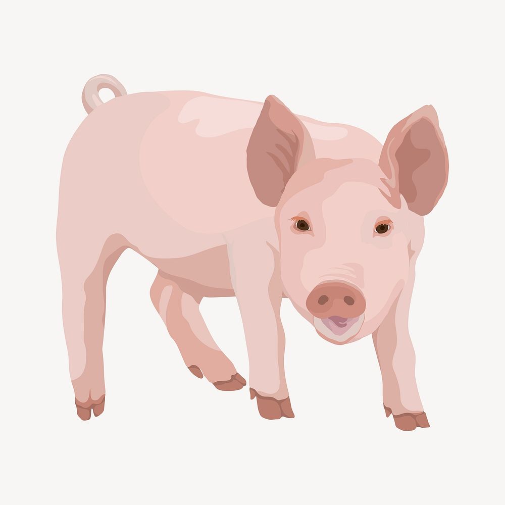 Piglet illustration, cute farm animal psd